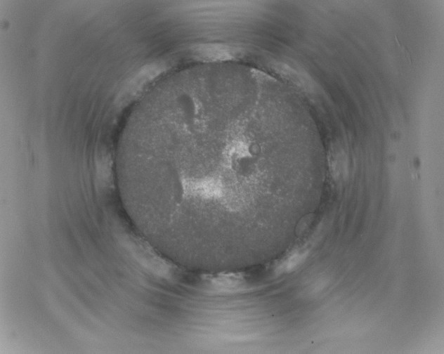 X0000077350359200611171904