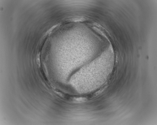 X0000077350360200611171904