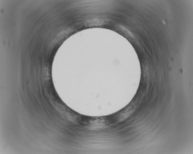 X0000077350362200611171904