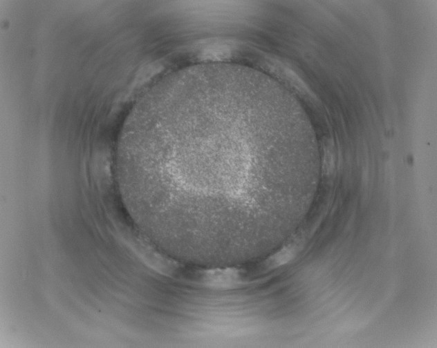 X0000077350363200611171904