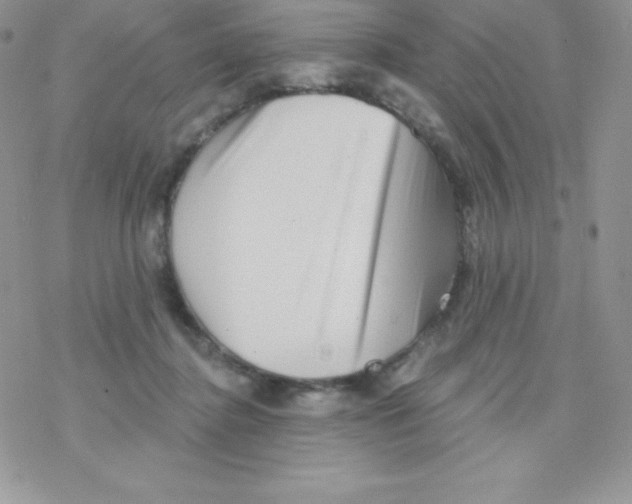 X0000077350364200611171904