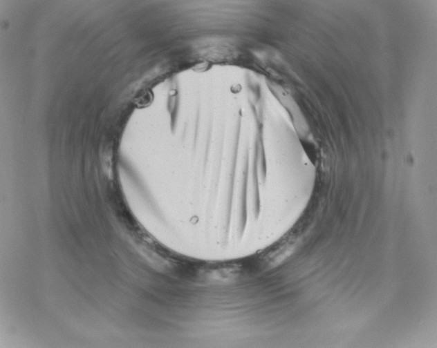 X0000077350368200611171904