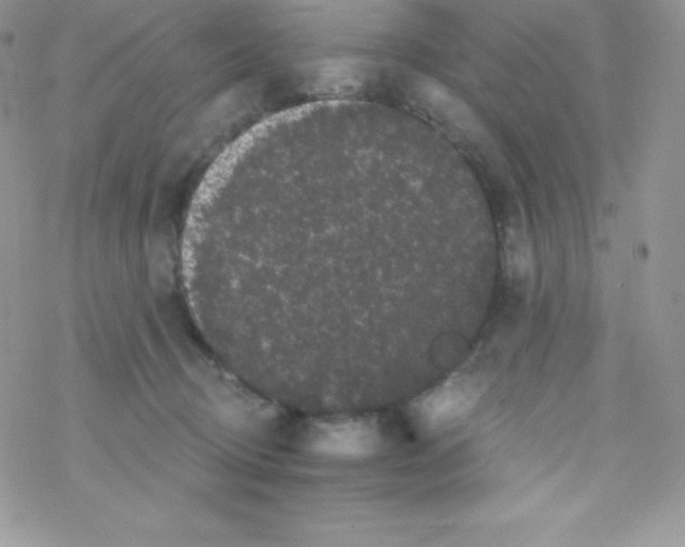 X0000077350370200611171904