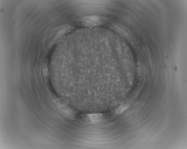 X0000077350371200611171904