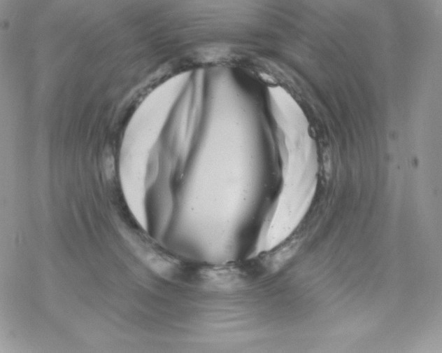 X0000077350372200611171904