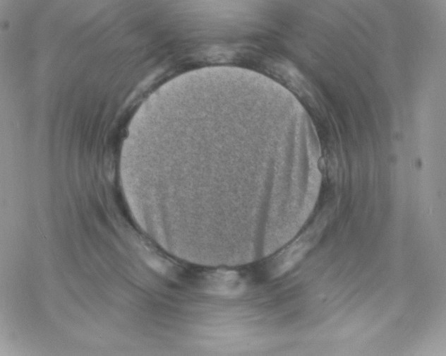 X0000077350374200611171904