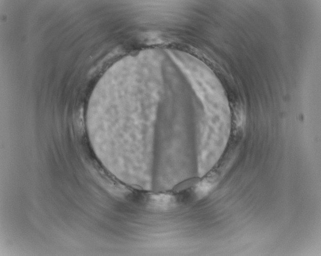 X0000077350376200611171904