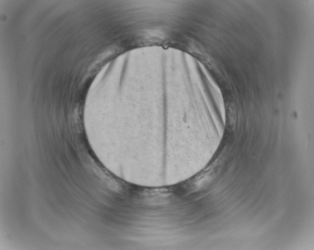 X0000077350378200611171904