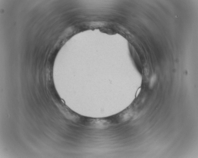 X0000077350379200611171904