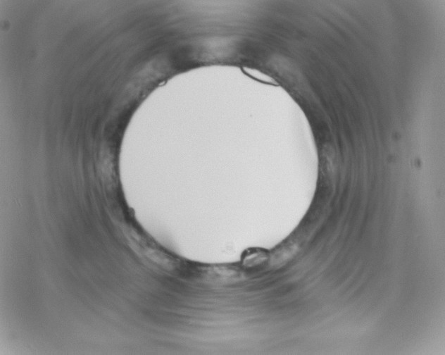 X0000077350380200611171904