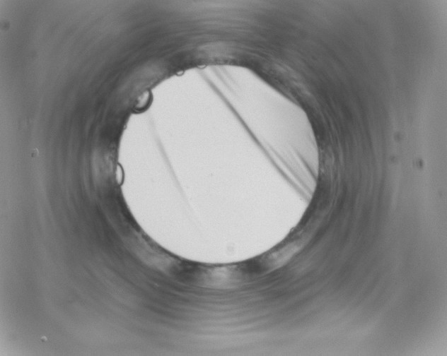 X0000077350382200611171904