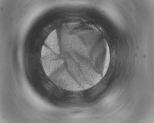 X0000077350383200611171904