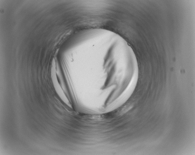 X0000077350384200611171904