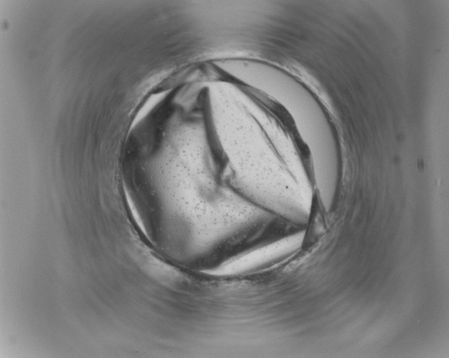 X0000077350385200611171903