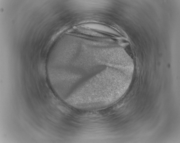 X0000077350386200611171903