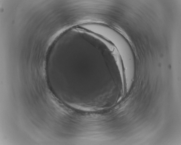 X0000077350387200611171903