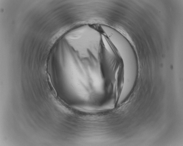 X0000077350389200611171903