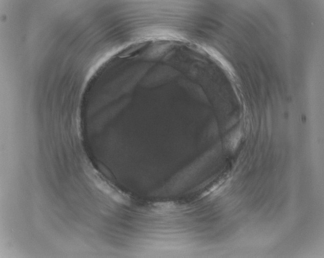 X0000077350391200611171903