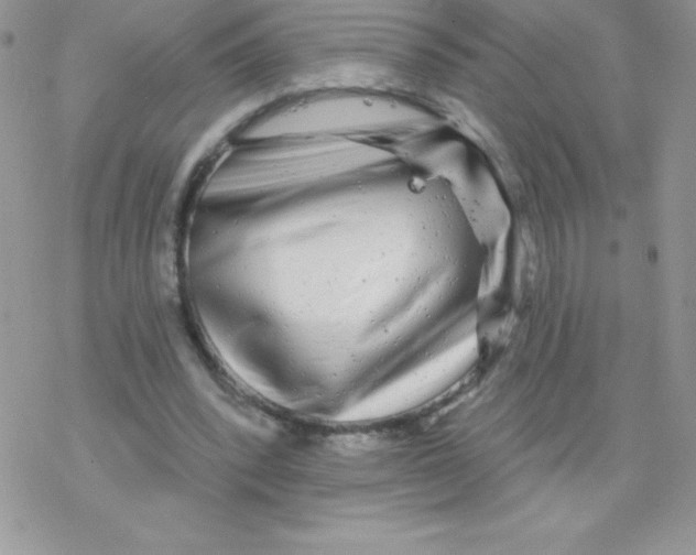 X0000077350392200611171903