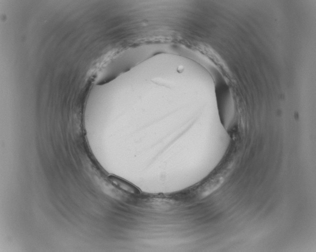 X0000077350393200611171903