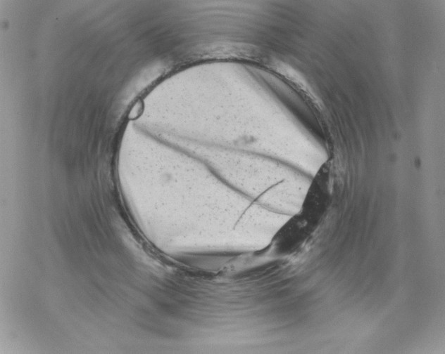 X0000077350394200611171903