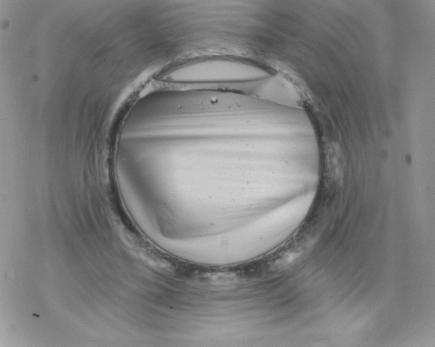 X0000077350395200611171903