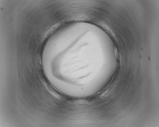 X0000077350397200611171903