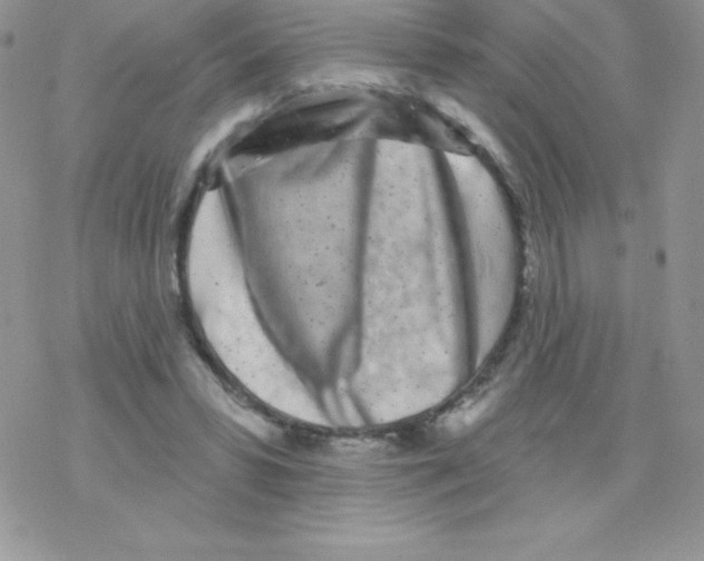 X0000077350399200611171903