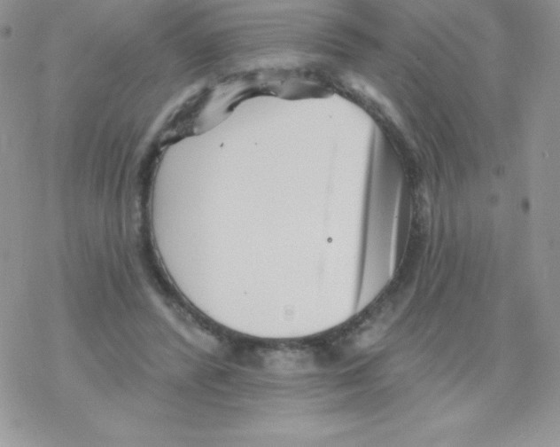 X0000077350400200611171903