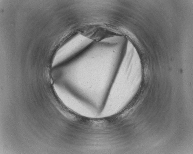 X0000077350401200611171903