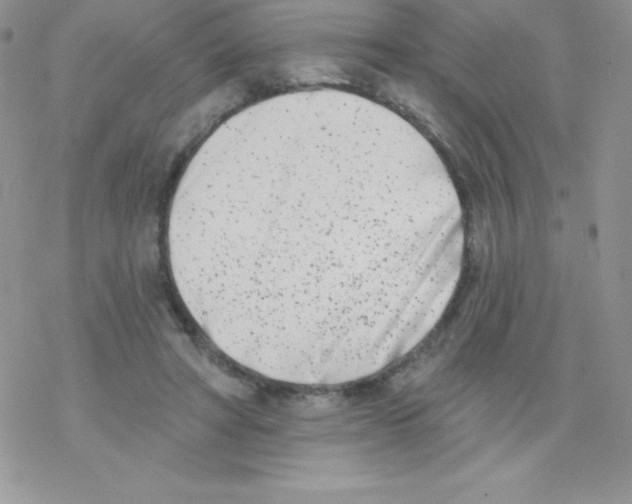 X0000077350402200611171903