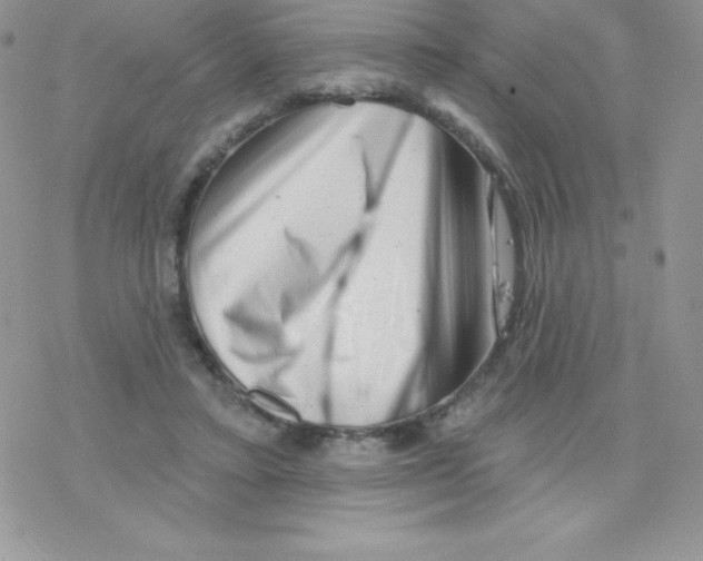 X0000077350403200611171903