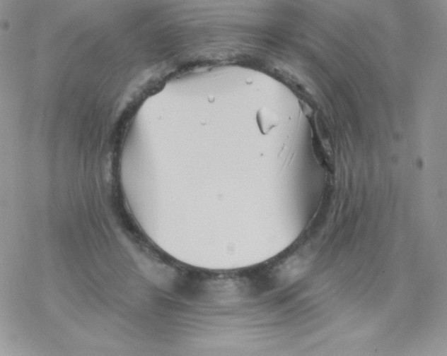 X0000077350404200611171903