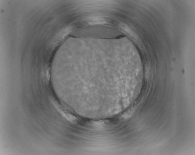 X0000077350405200611171903