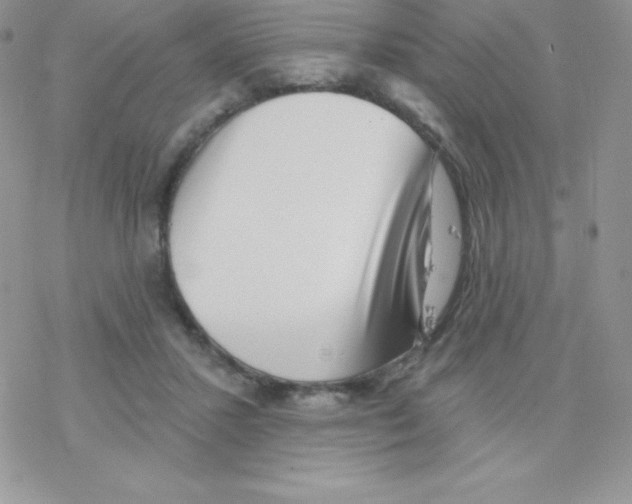 X0000077350407200611171903