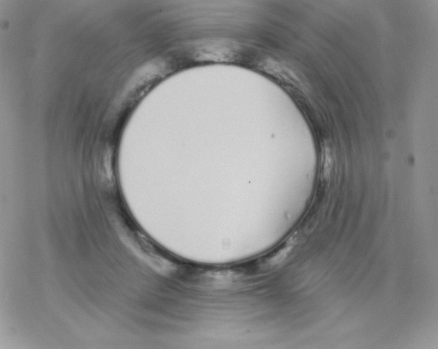 X0000077350408200611171903