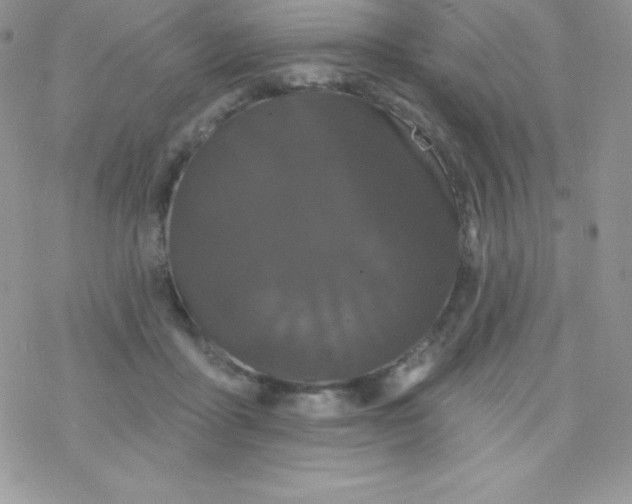 X0000077350411200611171903