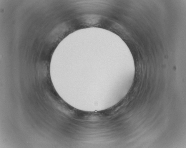 X0000077350412200611171903