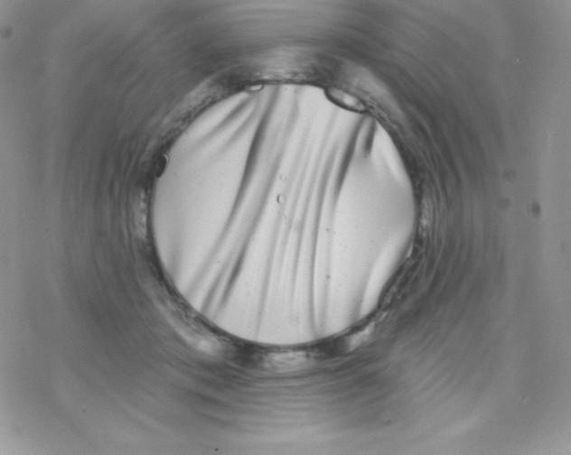 X0000077350413200611171903