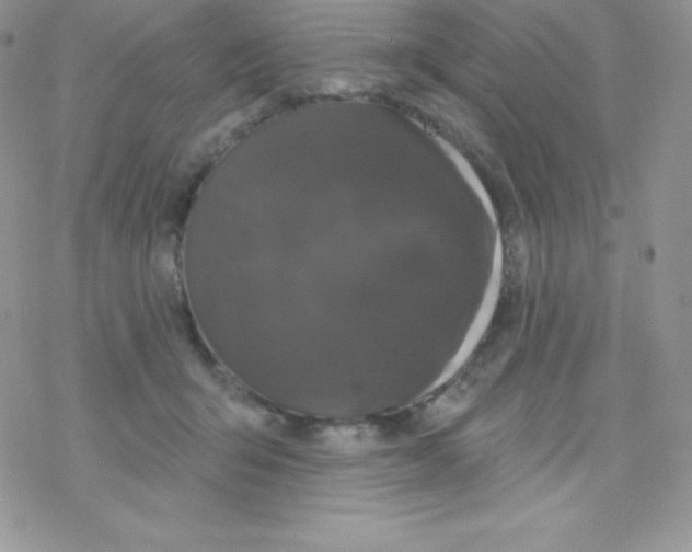 X0000077350415200611171903