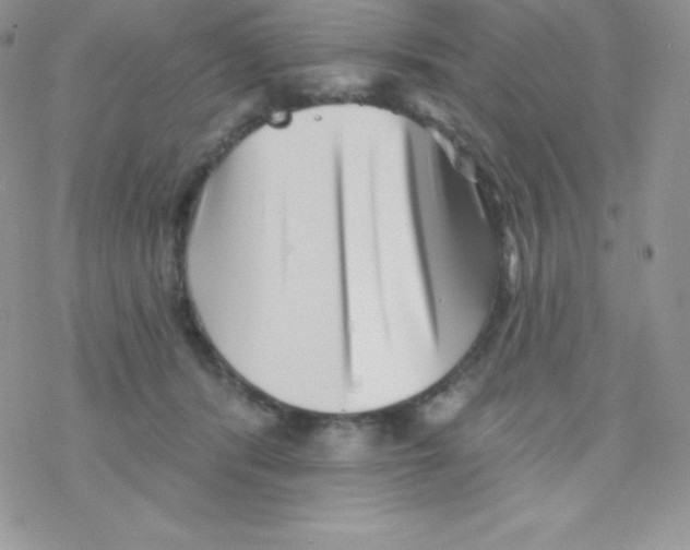 X0000077350416200611171903