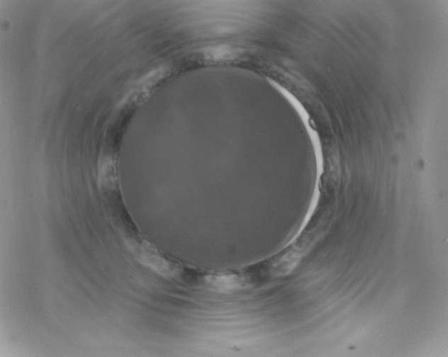 X0000077350419200611171903