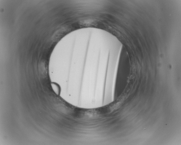 X0000077350420200611171903