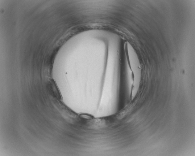 X0000077350421200611171903