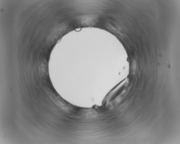 X0000077350424200611171903