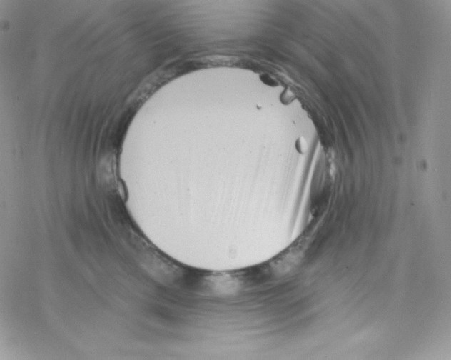 X0000077350425200611171903