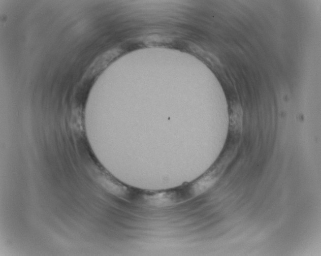 X0000077350430200611171903