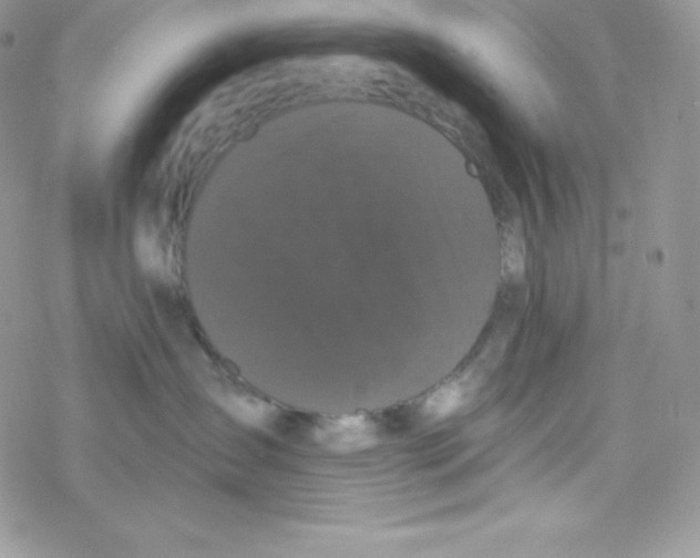 X0000077350431200611171903