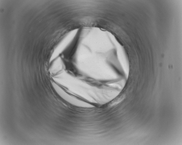 X0000077350432200611171903