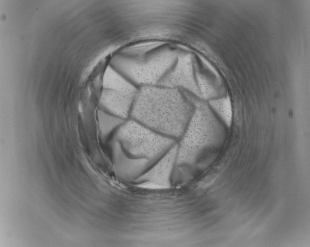 X0000077350434200611171902